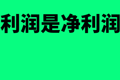 主营业务利润是什么?(主营业务利润是净利润还是利润总额)