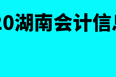 财务软件公司客服怎么样(财务软件公司怎么样)