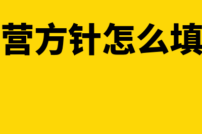 经营方针VS经营计划?(经营方针怎么填写)