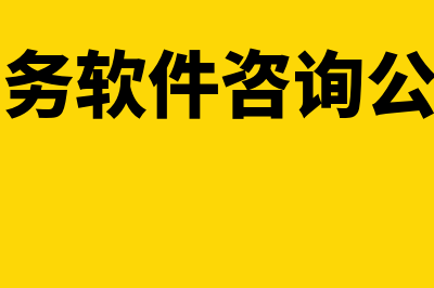 财务软件咨询顾问工作怎么样(财务软件咨询公司)