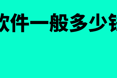 财务软件多久审核次(财务软件一般多少钱一年)