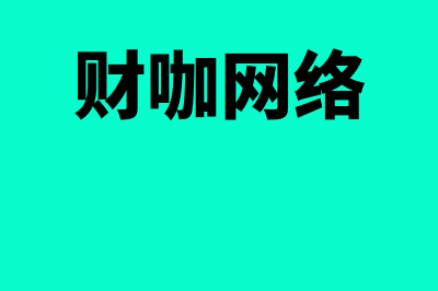 财咖财务软件怎么样(财咖网络)