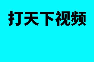 打天下财务软件怎么样(打天下视频)