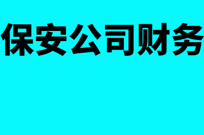 保安财务软件哪个最好(保安公司财务)