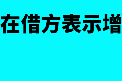 应付账款在借方表示什么?(应付账款在借方表示增加还是减少)