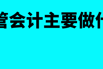 主管会计的主要职责?(主管会计主要做什么)