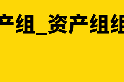 资产组组合是指什么意思?(资产组 资产组组合)