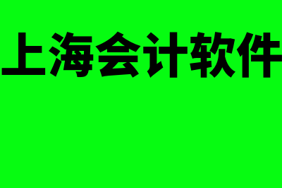 上海财务软件怎么样(上海会计软件)