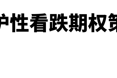 保护性看跌期权是什么?(保护性看跌期权策略)