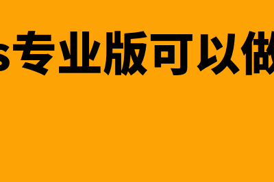 金蝶kis专业版可以导入凭证吗(金蝶kis专业版可以做非营利企业吗)