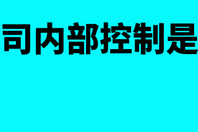 公司内部控制是什么?(公司内部控制是指)