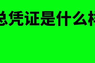 汇总凭证包括什么?(汇总凭证是什么样的)