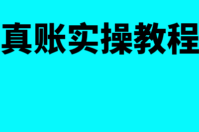 会计真账是什么?(会计真账实操教程免费)