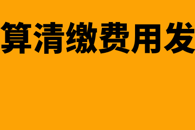 什么是汇算清缴?(什么是汇算清缴费用发票超过标准金额)