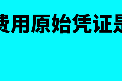 原始凭证是什么?(医疗费用原始凭证是什么)