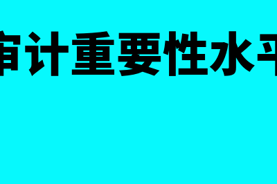 审计重要性?(审计重要性水平)