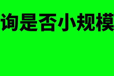 如何查询是否小微企业?(如何查询是否小规模纳税人)