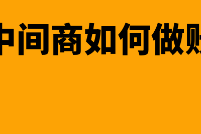 购买财务软件如何入账？(购买财务软件如何摊销)