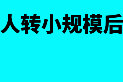 一般纳税人转小规模需要哪些资料?(一般纳税人转小规模后留抵税额怎么处理)