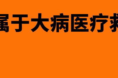 什么是属于大病医疗(什么是属于大病医疗救助范围)