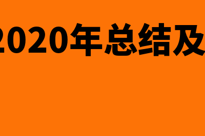 2021年度个人工资年薪制如何缴纳个人所得税(2021年度个人工作总结范文十篇)