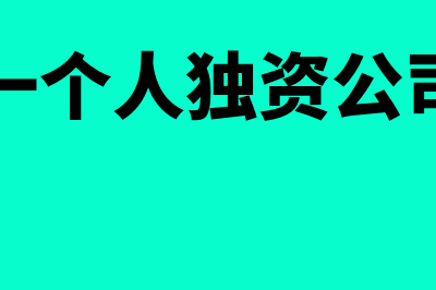 一人独资公司钱可以转入法人账户吗(一个人独资公司)