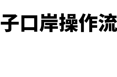 电子口岸是做什么的(电子口岸操作流程)