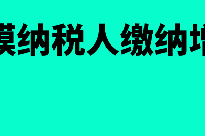 小规模纳税人专票和普票合计销售额不超过30万(小规模纳税人专票和普票未超过30万)