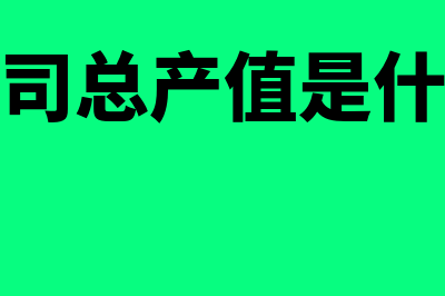 公司总产值数额在报表里面怎么填写(公司总产值是什么)