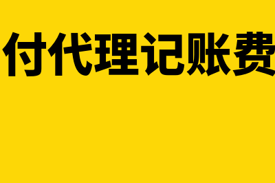 支付代理记账费用能不能开发票(支付代理记账费用)