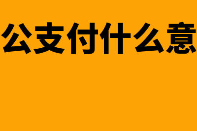 公司对公支付和报销的区别(对公支付什么意思)