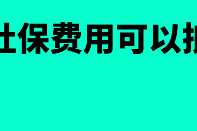 公司的社保费用税务局是怎么扣除的?(公司的社保费用可以抵成本吗)