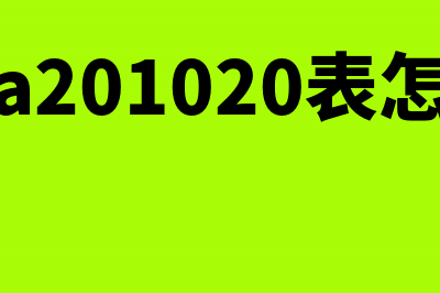 a201020表怎么填举例(填写a201020表怎么填)