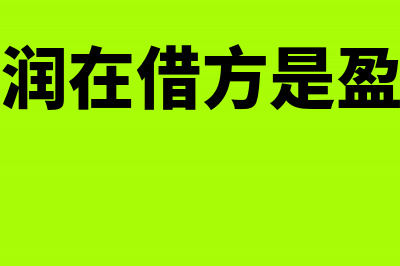 未分配利润在借方是对的吗?(未分配利润在借方是盈利还是亏损)