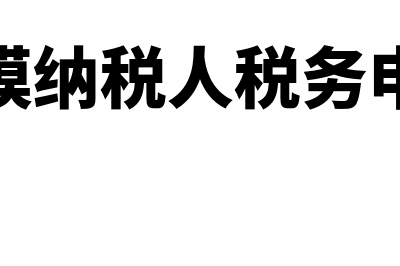 小规模申报表如何填写?(小规模纳税人税务申报表)