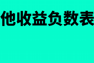 利润表其他收益核算哪些内容(利润表其他收益负数表示什么意思啊)