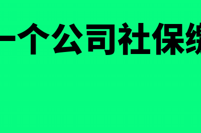 如何查一个公司是否为一般纳税人(如何查一个公司社保缴纳人数)