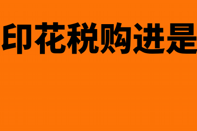 用进项税留抵的税额缴纳增值税会计分录(进项税留抵怎么做账)