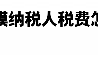 小规模纳税人税收优惠账务处理(小规模纳税人税费怎么算)