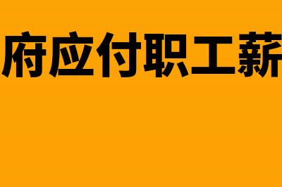 政府应付职工薪酬会计分录(政府应付职工薪酬)