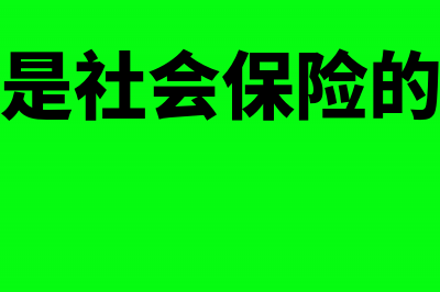 什么是社会保险基金的会计核算?(什么是社会保险的特点)