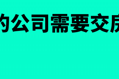 应交增值税的差额账务怎么调整?(应交增值税的差额怎么算)