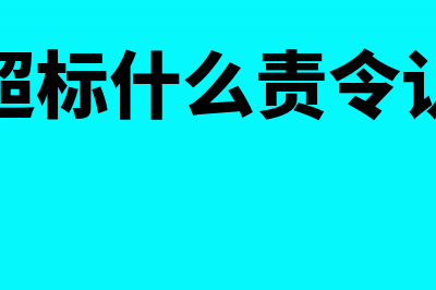 超标准小规模纳税人偷税数额如何界定?(小规模超标什么责令认定时限)