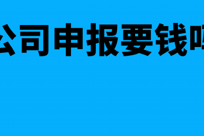 公司申报纳税需要什么资料(公司申报要钱吗)