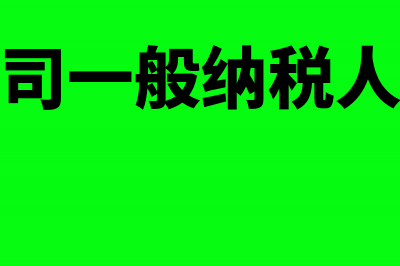 分支机构一般纳税人转小规模申请(分公司一般纳税人认定)