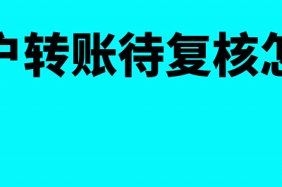 对公账户转账待复核是什么意思(对公账户转账待复核怎么复核)