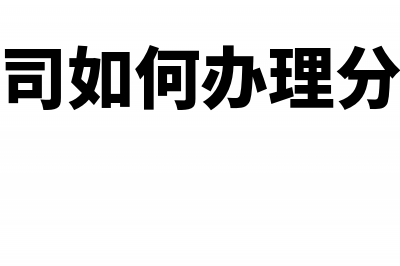 设立分公司，如何办理开业税务登记(设立分公司如何办理分公司爆破许可证)