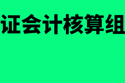 建立会计核算形式的要求有哪些(建立会计核算空间范围所依据的会计基本假设是)