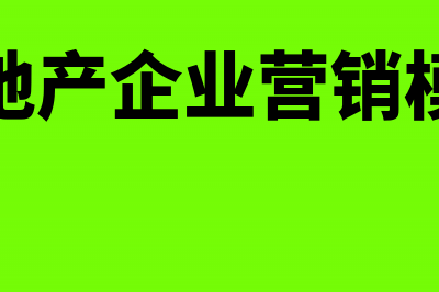 房地产企业营销设施的会计处理(房地产企业营销模式)