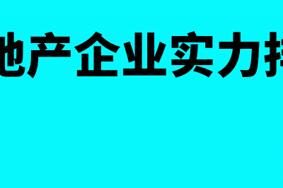 房地产企业在实务中成本核算对象有哪些(房地产企业实力排名)